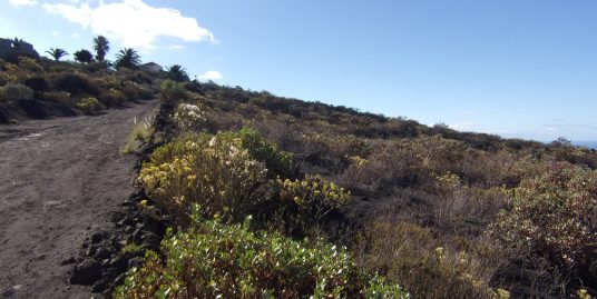 Grundstück in Las Norias