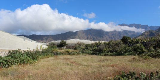 Städtisches Grunstück bei Los LLanos (Triana)